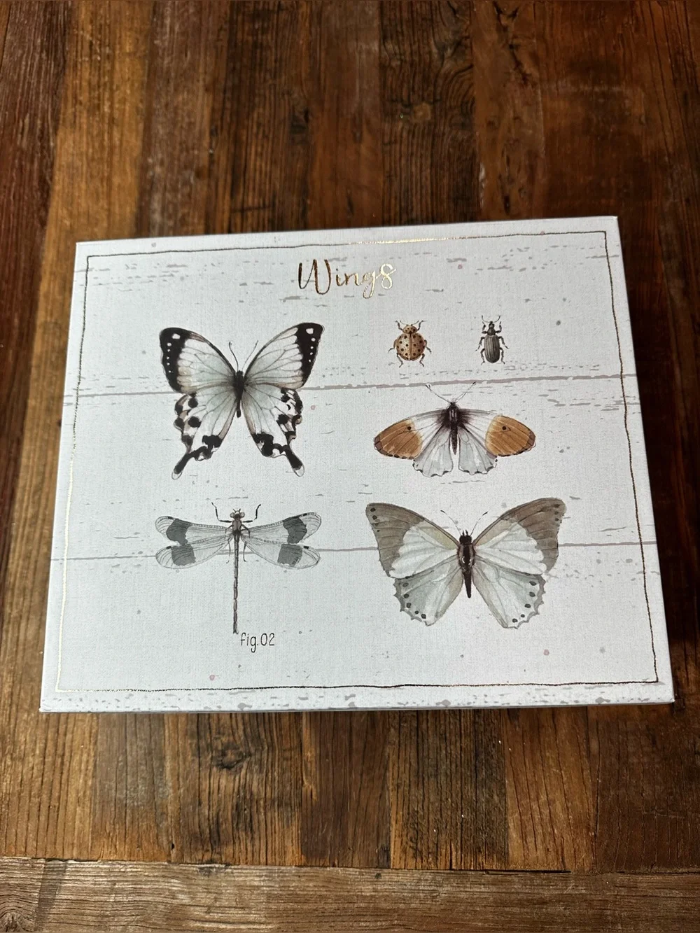 Wings Butterfly gift box Art - Neutral Cream & Tan